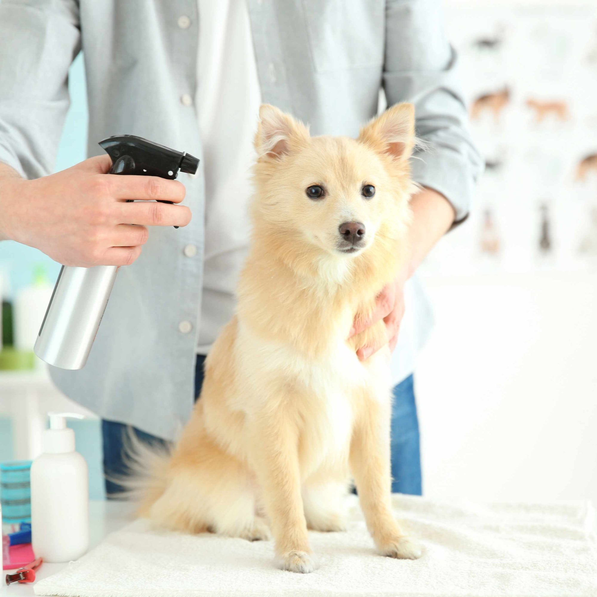 Dog Grooming Products for Modern Pet
