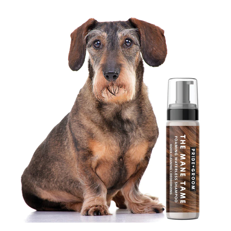 Waterless and Dry Pet Shampoos