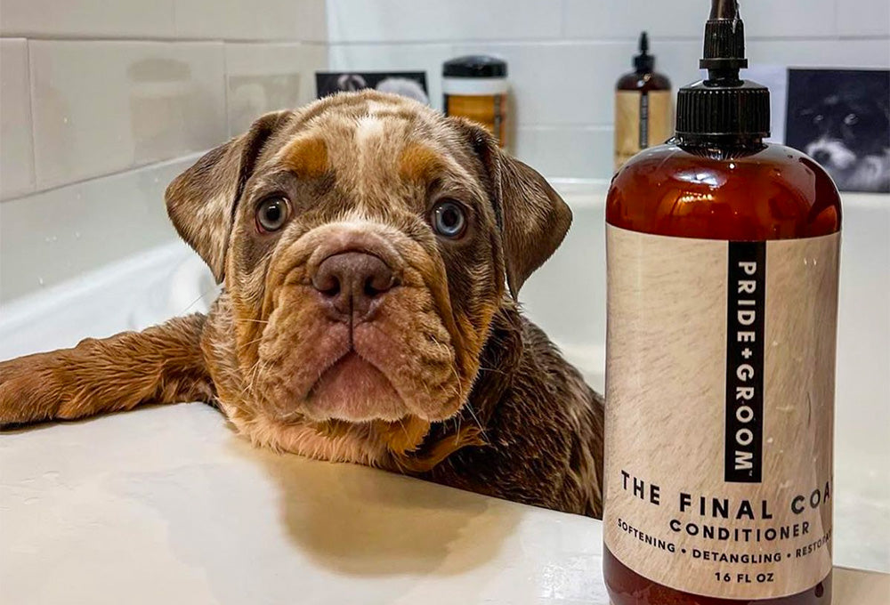 The Ultimate Guide to Choosing the Best Dog Conditioner PRIDE GROOM PRO