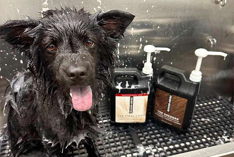 what do dog groomers use to wash dogs