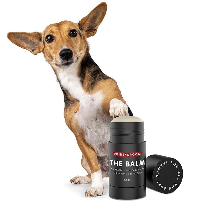 dog paw balm in bulk, wholesale paw and nose balm for dog groomers 